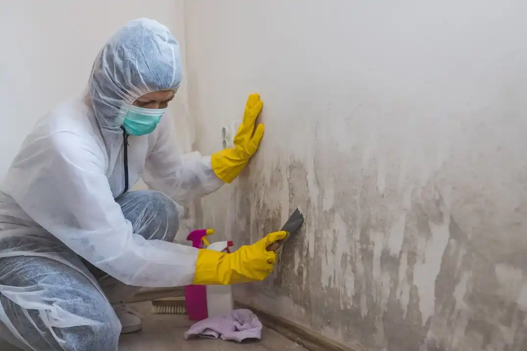 water damage restoration service Whitmer - Trilby
